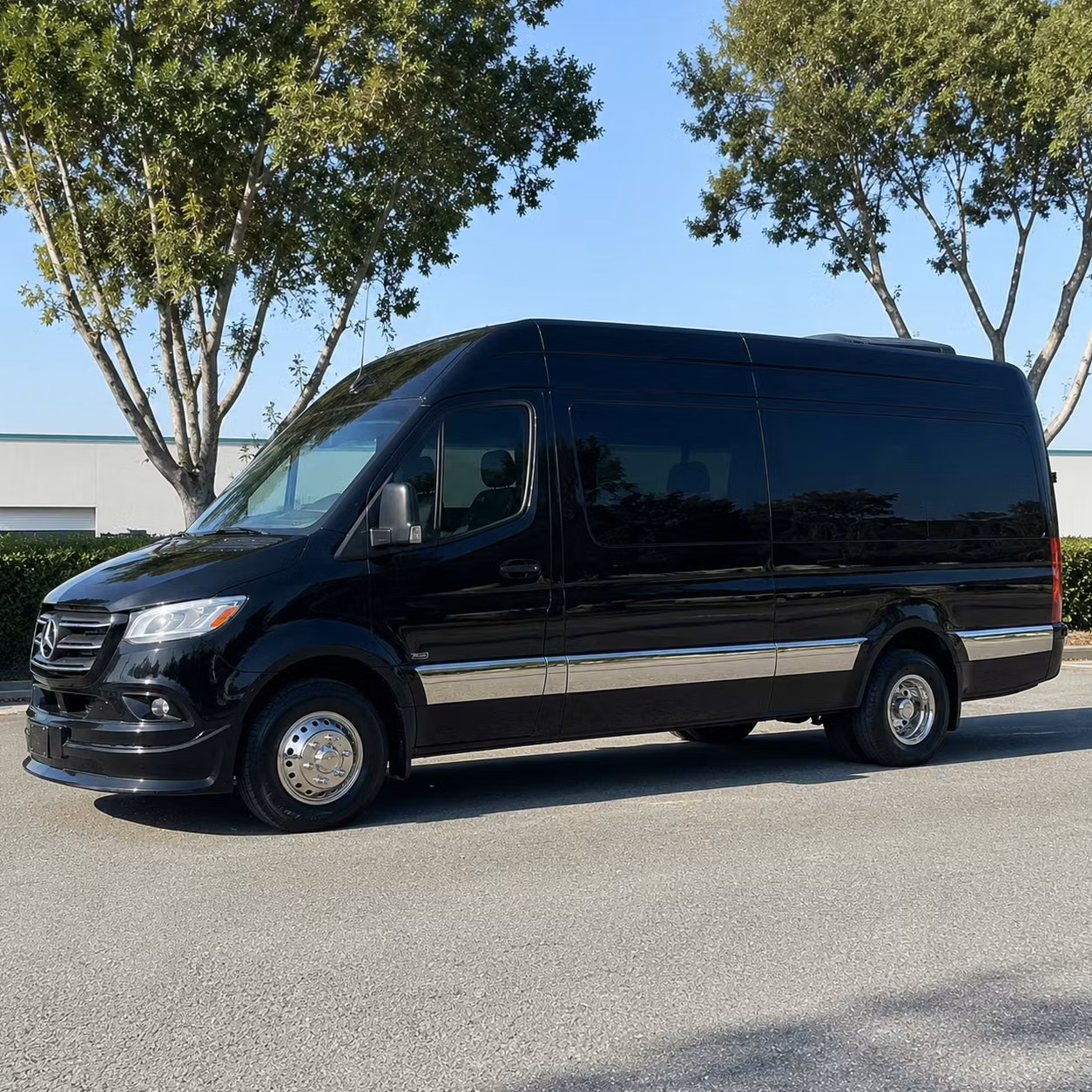 sprinter van with driver